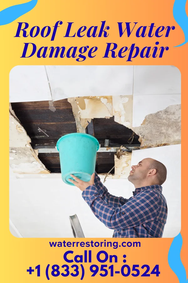 Roof Leak Water Damage Repair in Happy Valley, OR
